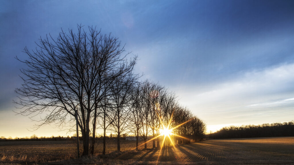 2025 History at Sunset at Fredericksburg and Spotsylvania NMP