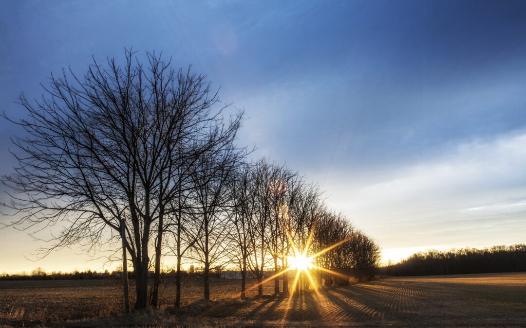 2025 History at Sunset at Fredericksburg and Spotsylvania NMP
