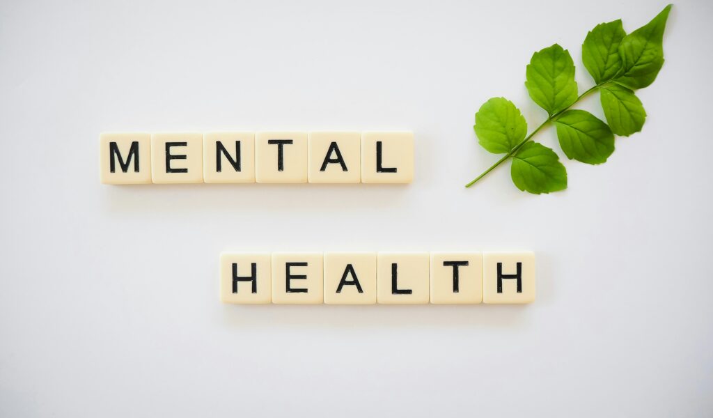 Mental Health Fair and Concert