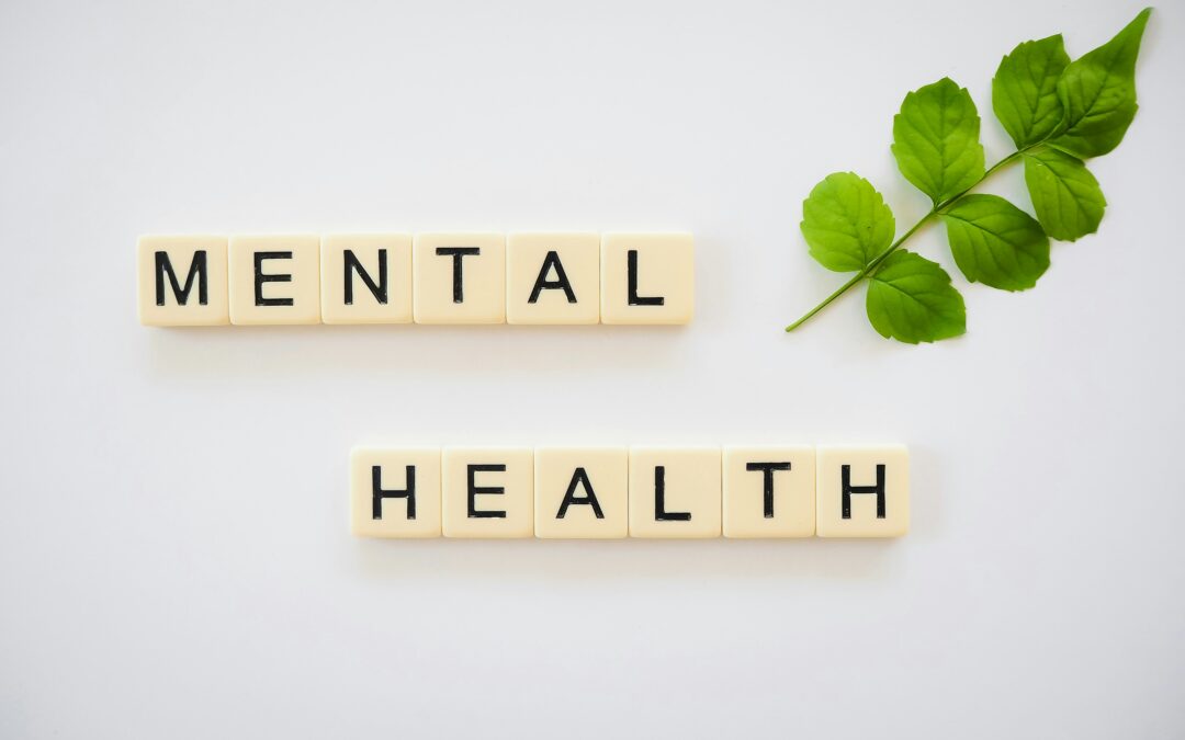 Mental Health Fair and Concert